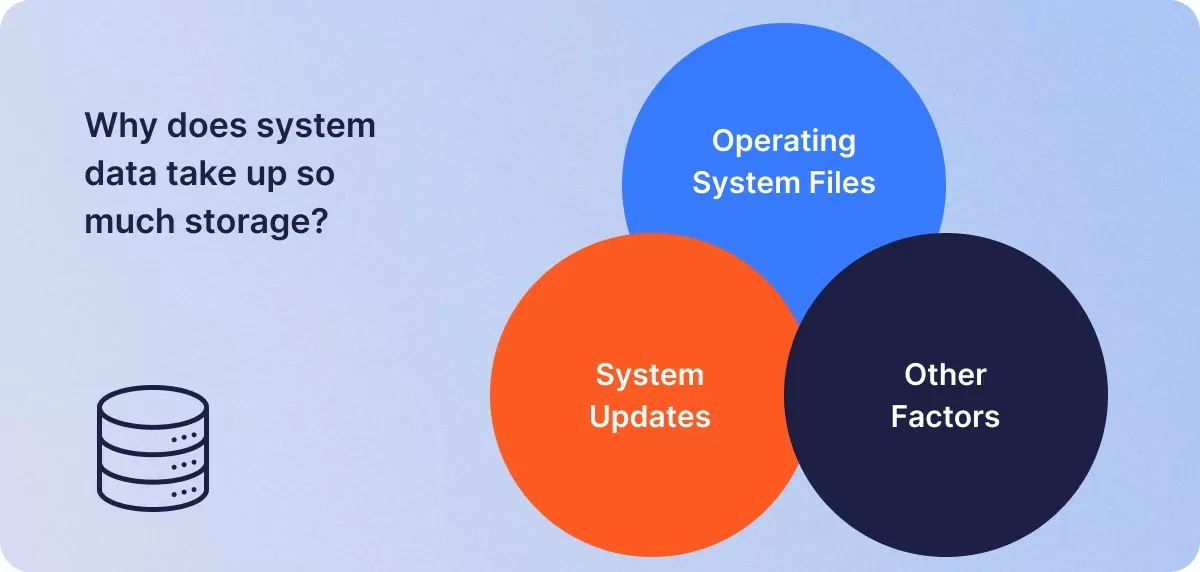 Why does system data take up so much storage